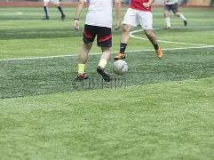 福原爱携新,伴侣与密友,欢聚,买球平台哪个好,买球平台官方网站,买球好平台网站,世俱杯买球平台