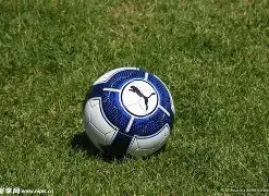 买球平台官,方网站,产品,买球平台哪个好,买球平台官方网站,买球好平台网站,世俱杯买球平台