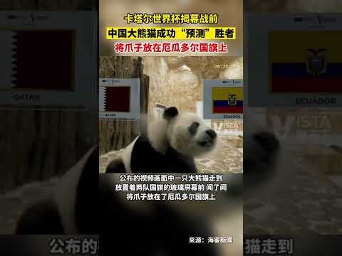 买球平台官,方网站,产品,买球平台哪个好,买球平台官方网站,买球好平台网站,世俱杯买球平台