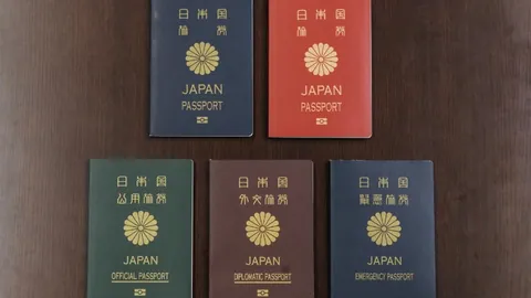 NBA分析：雷霆对决掘金，专家解读质合分析与前区十码