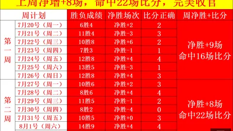 17亿球衣交易买球平台入口：体育迷财富逆袭秘诀大公开